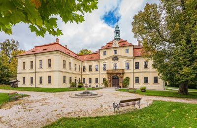 Pałac na sprzedaż Mirošov, Zámek Mirošov, Plzeňský kraj, Ogród