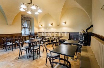 Pałac na sprzedaż Mirošov, Zámek Mirošov, Plzeňský kraj, Zdjęcie 17/30