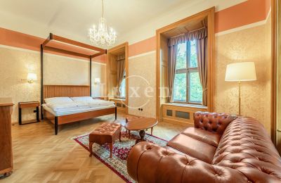 Pałac na sprzedaż Mirošov, Zámek Mirošov, Plzeňský kraj, Zdjęcie 15/30