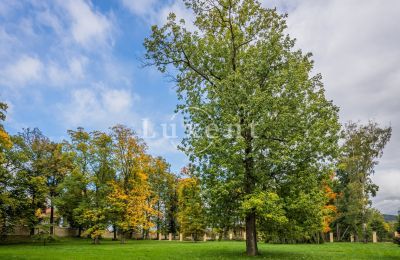 Pałac na sprzedaż Mirošov, Zámek Mirošov, Plzeňský kraj, Zdjęcie 24/30
