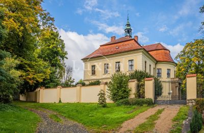 Pałac na sprzedaż Mirošov, Zámek Mirošov, Plzeňský kraj, Zdjęcie 27/30