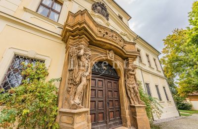 Pałac na sprzedaż Mirošov, Zámek Mirošov, Plzeňský kraj, Zdjęcie 29/30