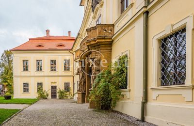 Pałac na sprzedaż Mirošov, Zámek Mirošov, Plzeňský kraj, Zdjęcie 28/30