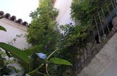 Dwór na sprzedaż Córdoba, Plaza Séneca  3, Andaluzja, Zdjęcie 8/9