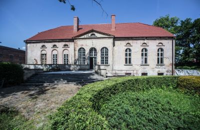 Pałac na sprzedaż Przybysław, województwo zachodniopomorskie:  Taras