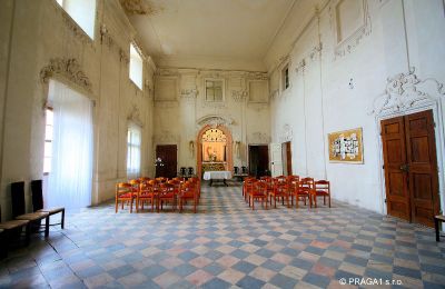 Pałac na sprzedaż Hlavní město Praha:  Saal