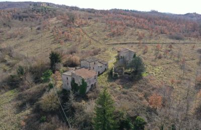 Dom wiejski na sprzedaż 06019 Umbertide, Umbria:  