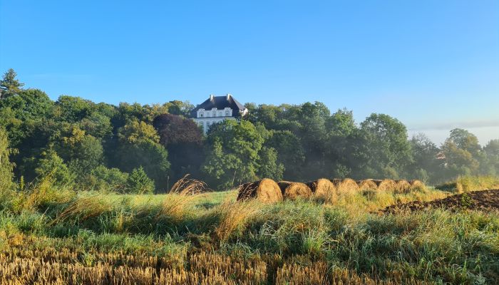 Pałac na sprzedaż Piszkowice, województwo dolnośląskie,  Polska