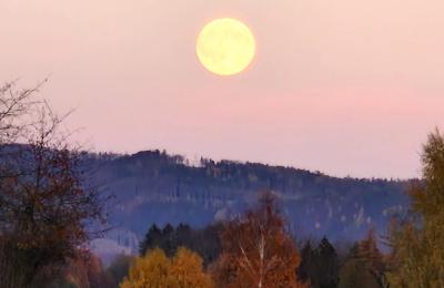 Pałac na sprzedaż Piszkowice, Dolnośląskie, Okokica