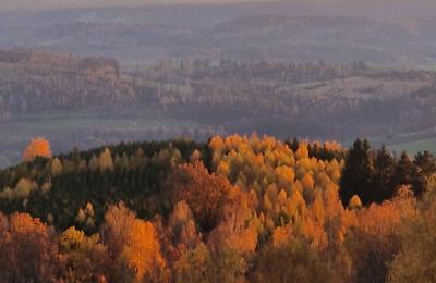 Pałac na sprzedaż Piszkowice, Dolnośląskie, Zdjęcie 24/28