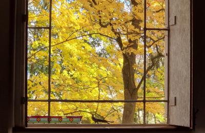 Pałac na sprzedaż Piszkowice, Dolnośląskie, Zdjęcie 26/28