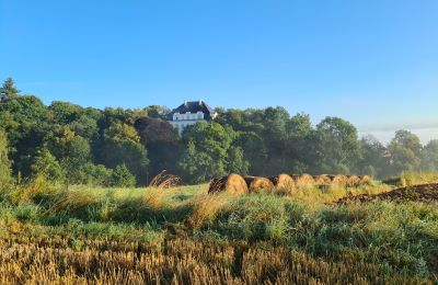 Nieruchomości, Pałac Piszkowice