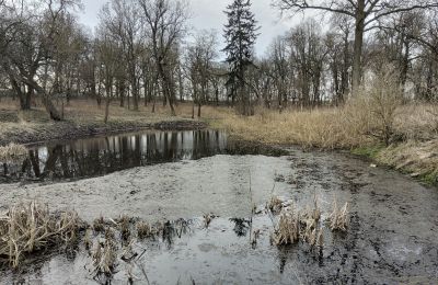 Dwór na sprzedaż Bolkowice, Zachodniopomorskie, Jezioro/staw