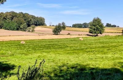 Pałac na sprzedaż Sławnikowice, Slawnikowice 99, Dolnośląskie, Zdjęcie 28/28