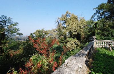 Zabytkowa willa na sprzedaż Golasecca, Lombardia, Ogród