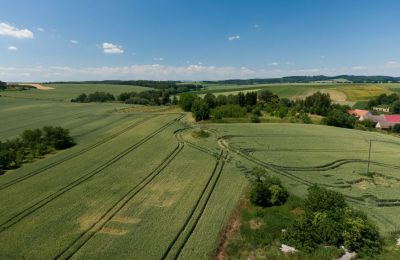 Zabytkowa willa na sprzedaż Strzelin, Kazanów 21, Dolnośląskie, Zdjęcie 33/35