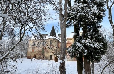 Pałac na sprzedaż Komorowice, Wrocławska 27, Dolnośląskie, Zdjęcie 33/36