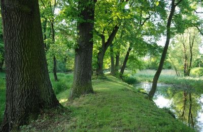 Pałac na sprzedaż Komorowice, Wrocławska 27, Dolnośląskie, Zdjęcie 15/36