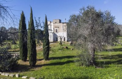 Dom wiejski na sprzedaż Oria, Apulia:  