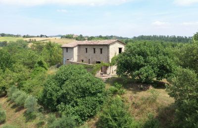 Dom wiejski na sprzedaż Promano, Umbria:  