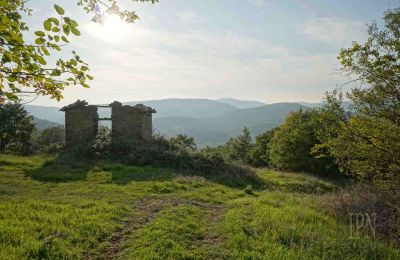 Nieruchomości, Gospodarstwo z 15 hektarami ziemi w pobliżu Preggio, Umbria