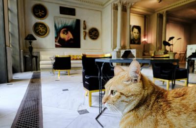 Zabytkowa willa na sprzedaż İstanbul, Tom Tom, Nur-i Ziya Sokak, Zdjęcie 6/33