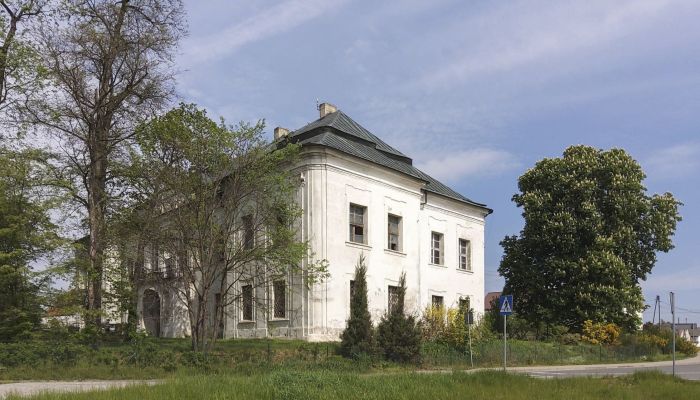Pałac na sprzedaż Pisarzowice, Opolskie,  Polska