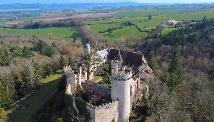 Pałac Veauce, Auvergne-Rhône-Alpes