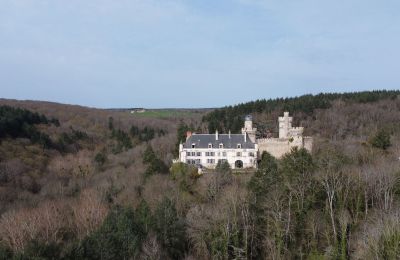Pałac na sprzedaż Veauce, Auvergne-Rhône-Alpes, Położenie nieruchomości