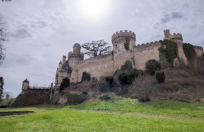 Pałac na sprzedaż Veauce, Auvergne-Rhône-Alpes, Zdjęcie 3/10