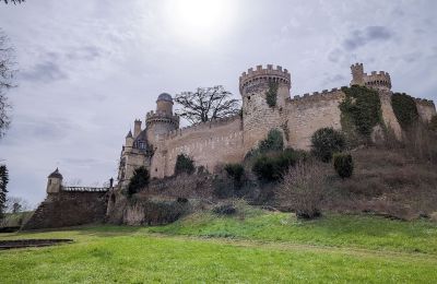 Pałac na sprzedaż Veauce, Auvergne-Rhône-Alpes:  