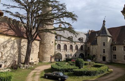 Pałac na sprzedaż Veauce, Auvergne-Rhône-Alpes, Zdjęcie 4/10