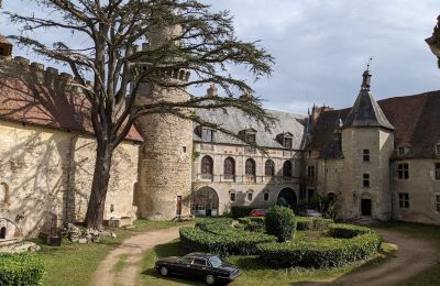 Pałac na sprzedaż Veauce, Auvergne-Rhône-Alpes:  