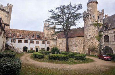 Pałac na sprzedaż Veauce, Auvergne-Rhône-Alpes, Dziedziniec wewnętrzny