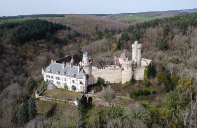 Pałac na sprzedaż Veauce, Auvergne-Rhône-Alpes, Zdjęcie Drona