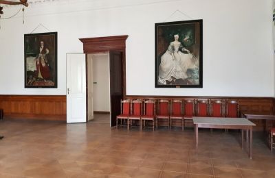 Pałac na sprzedaż Czempiń, Wielkopolskie, Zdjęcie 8/12