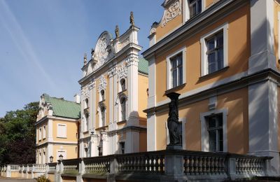 Pałac na sprzedaż Czempiń, Wielkopolskie, Zdjęcie 4/12