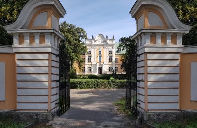 Pałac na sprzedaż Czempiń, Wielkopolskie, Wjazd
