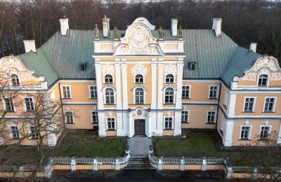 Pałac na sprzedaż Czempiń, Wielkopolskie, Zdjęcie Drona