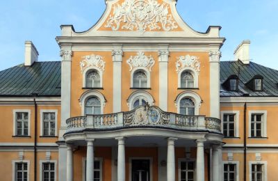 Pałac na sprzedaż Czempiń, Wielkopolskie, Zdjęcie 11/12