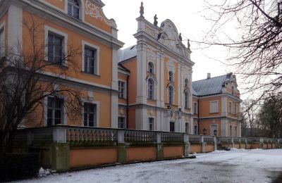 Pałac na sprzedaż Czempiń, Wielkopolskie, Widok z przodu