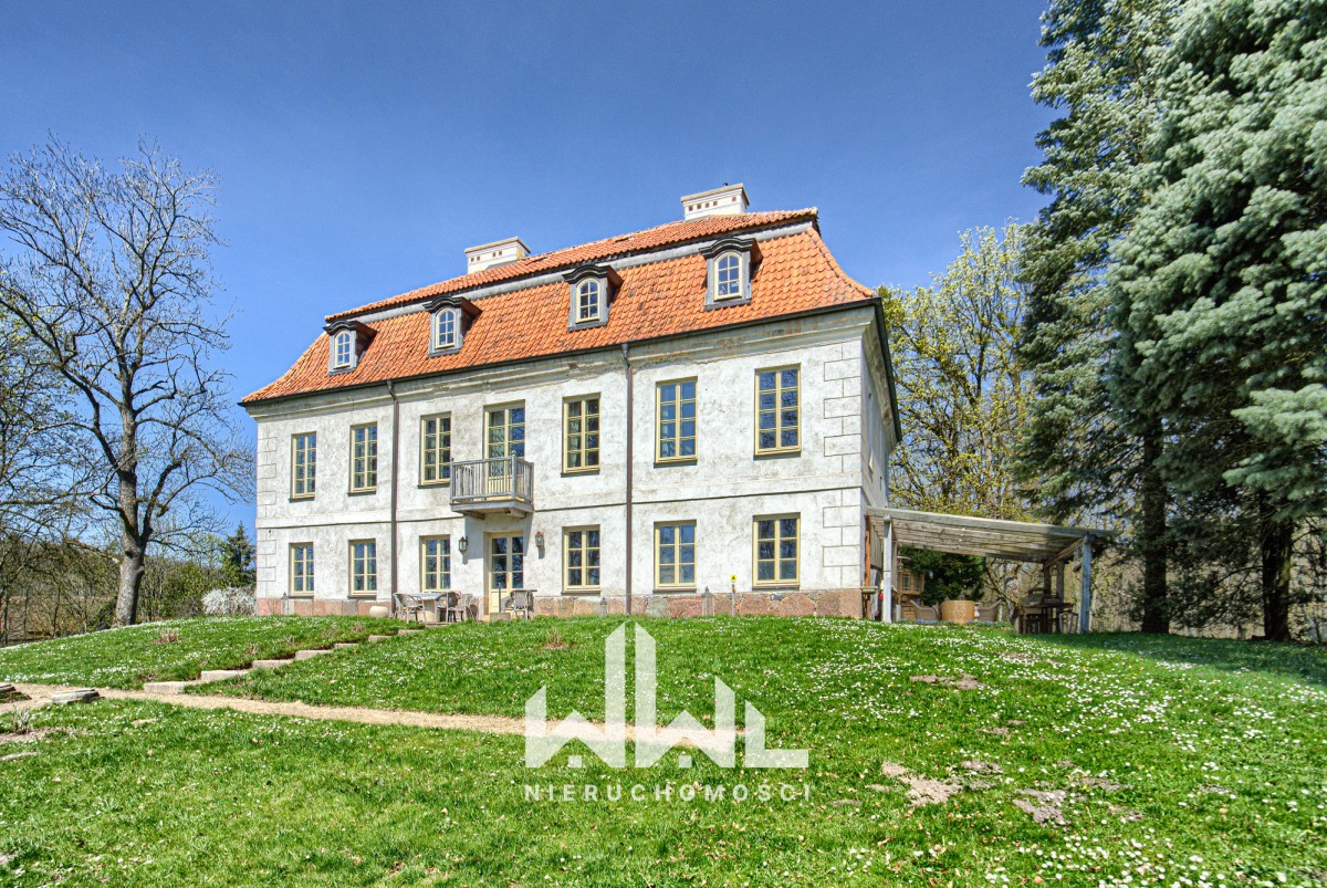 NIESAMOWITY DWÓR DAWIDY