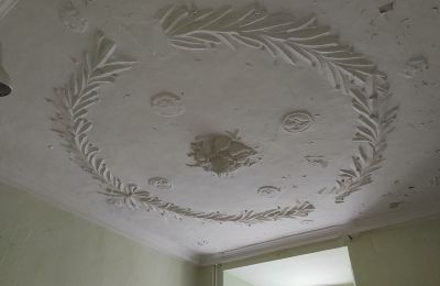 Pałac na sprzedaż 04600 Altenburg, Turyngia,, Ansicht