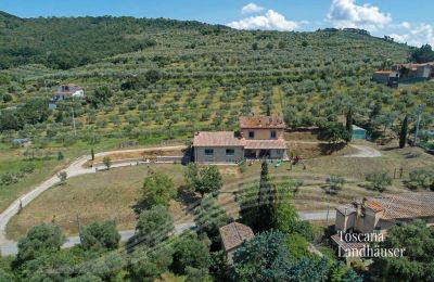 Dom na wsi na sprzedaż Cortona, Toskania:  RIF 3085 Weg zum Landhaus