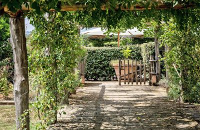 Dom na wsi na sprzedaż Manciano, Toskania:  RIF 3084 Pergola