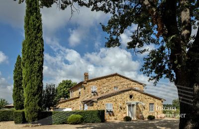Dom na wsi na sprzedaż Manciano, Toskania:  RIF 3084 Anwesen