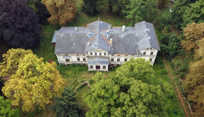 Dwór na sprzedaż Stradzewo, Zachodniopomorskie,  Polska