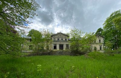 Pałac na sprzedaż Stradzewo, Pałac w Stradzewie, Zachodniopomorskie, Zdjęcie 7/14