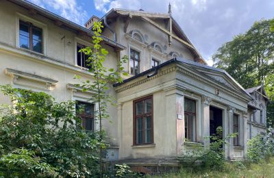 Pałac na sprzedaż Stradzewo, Pałac w Stradzewie, Zachodniopomorskie, Wejście