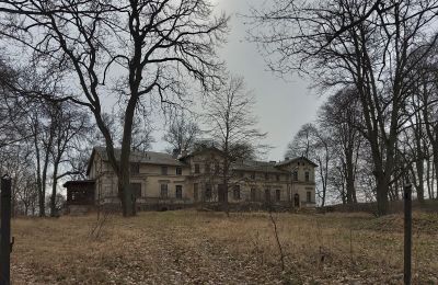 Pałac na sprzedaż Stradzewo, Pałac w Stradzewie, Zachodniopomorskie, Park
